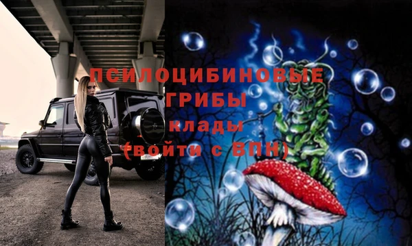 гашишное масло Гусиноозёрск