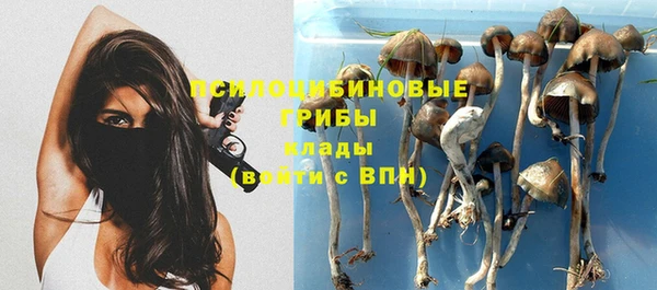 гашишное масло Гусь-Хрустальный